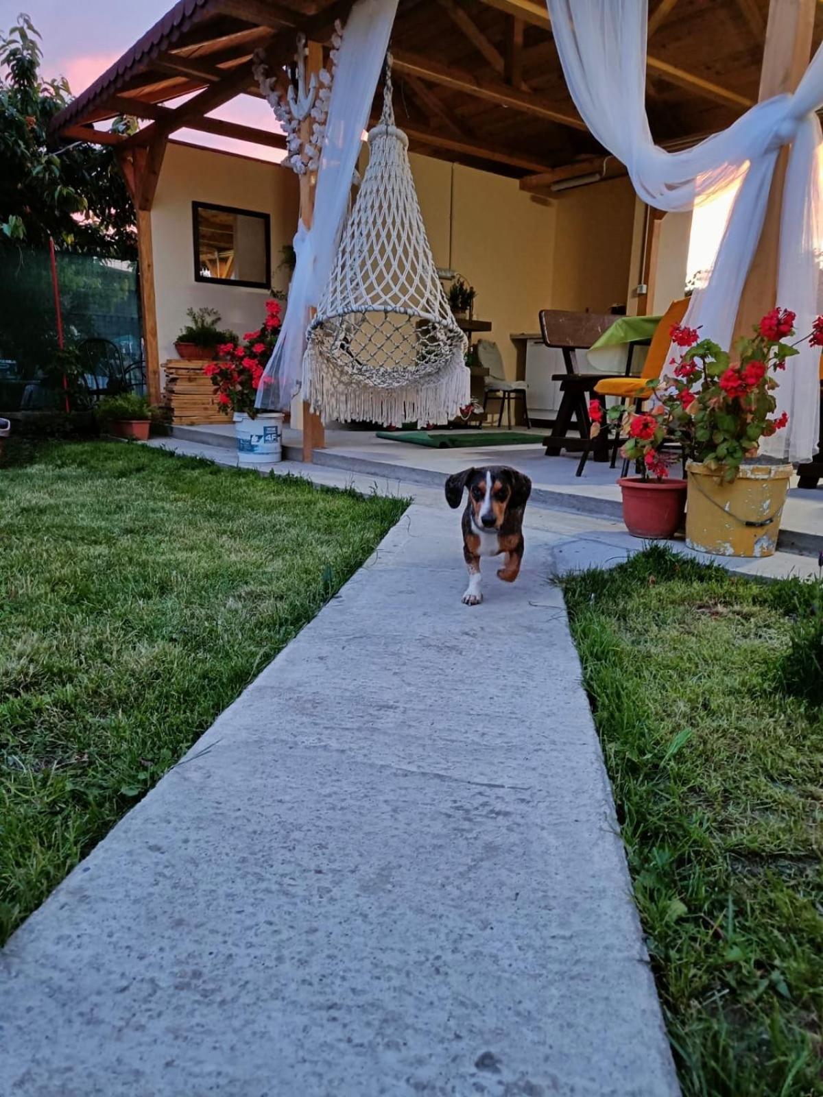 Casa Enka Ξενοδοχείο Tuzla Εξωτερικό φωτογραφία