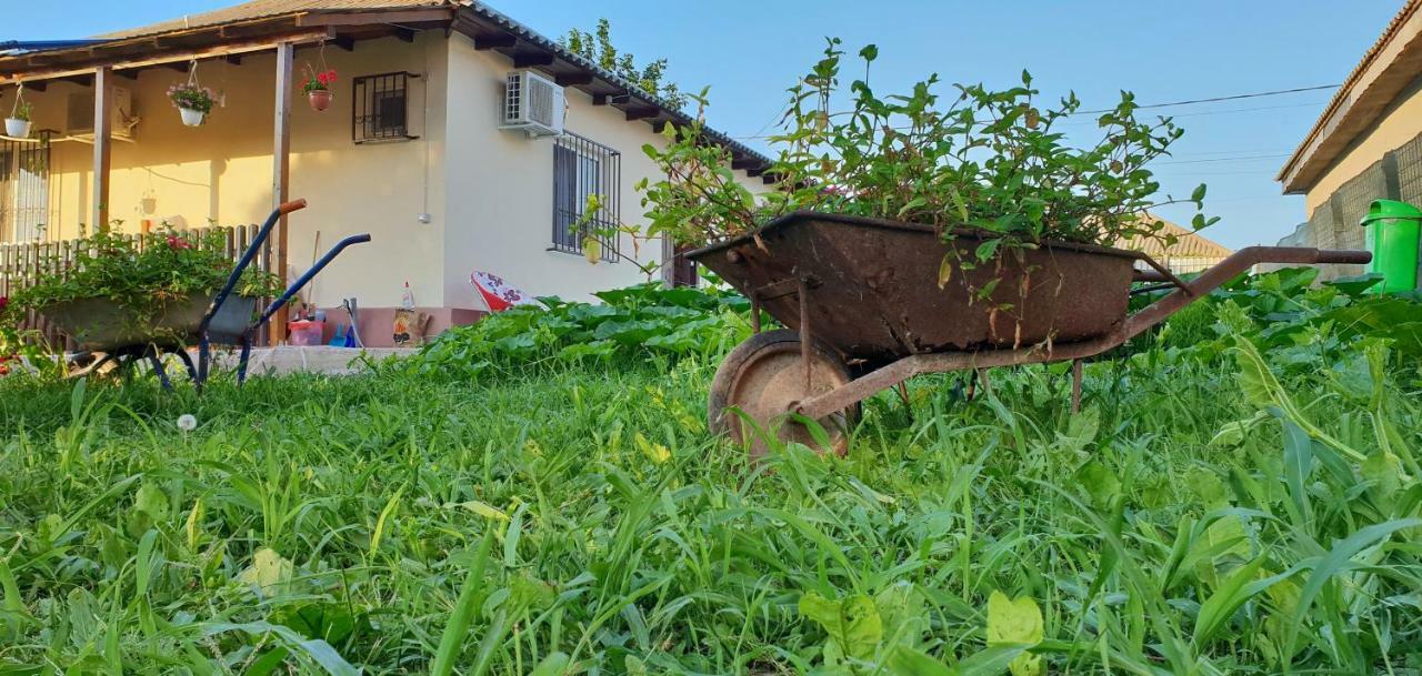 Casa Enka Ξενοδοχείο Tuzla Εξωτερικό φωτογραφία